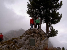 Suedtirol