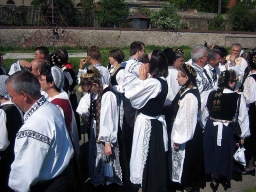 Dinkelsbuehl_2008_Trachtenumzug