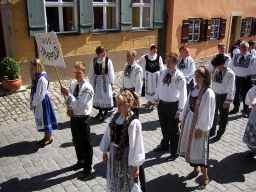 Dinkelsbuehl_2008_Trachtenumzug