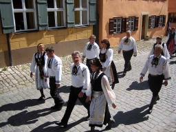 Dinkelsbuehl_2008_Trachtenumzug