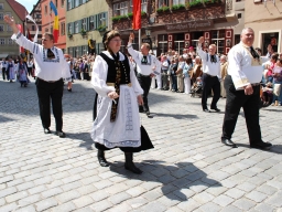Dinkelsbuehl_2010