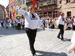 Dinkelsbuehl_2010