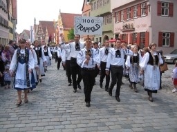 Dinkelsbuehl_2010