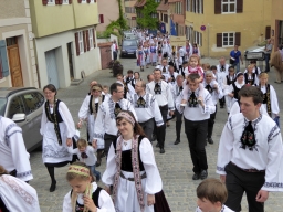 Dinkelsbuehl_2015