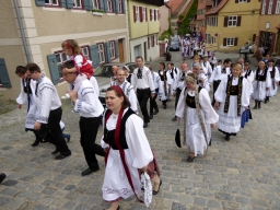 Dinkelsbuehl_2015