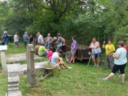 Trappold_2018