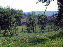 Trappold_Umgebung_Paul_Kraus