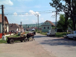 Trappold_Umgebung_Paul_Kraus