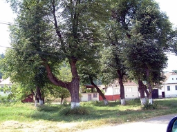 Trappold_Umgebung_Paul_Kraus