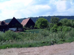 Trappold_Umgebung_Paul_Kraus