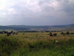 Trappold_Umgebung_Paul_Kraus