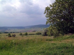 Trappold_Umgebung_Paul_Kraus