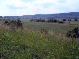 Trappold_Umgebung_Paul_Kraus