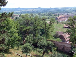 Trappold_Umgebung_Paul_Kraus