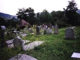 Panorama_Ortsansicht