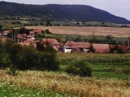 Panorama_Ortsansicht